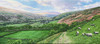 View #1