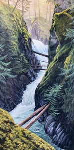 Little Qualicum Falls in the Winter