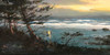 View #1