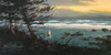 View #1