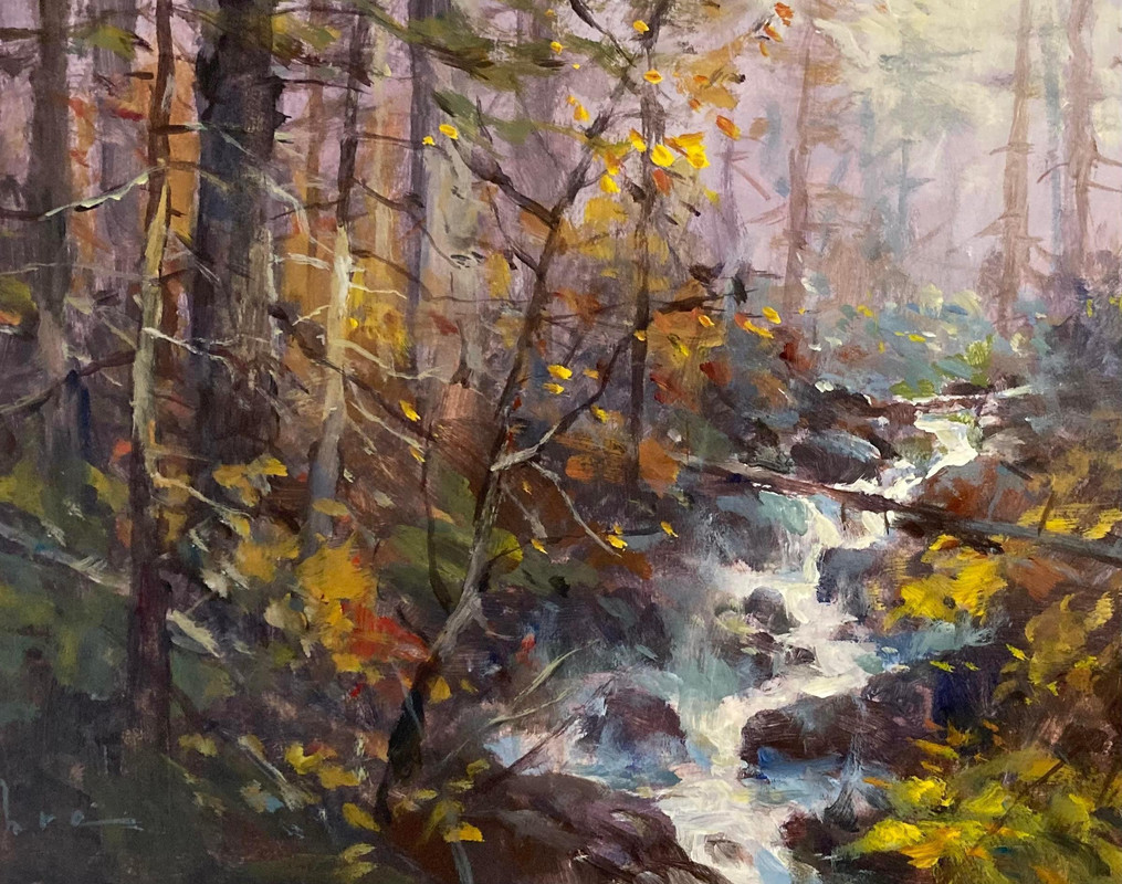 Misty Rainforest