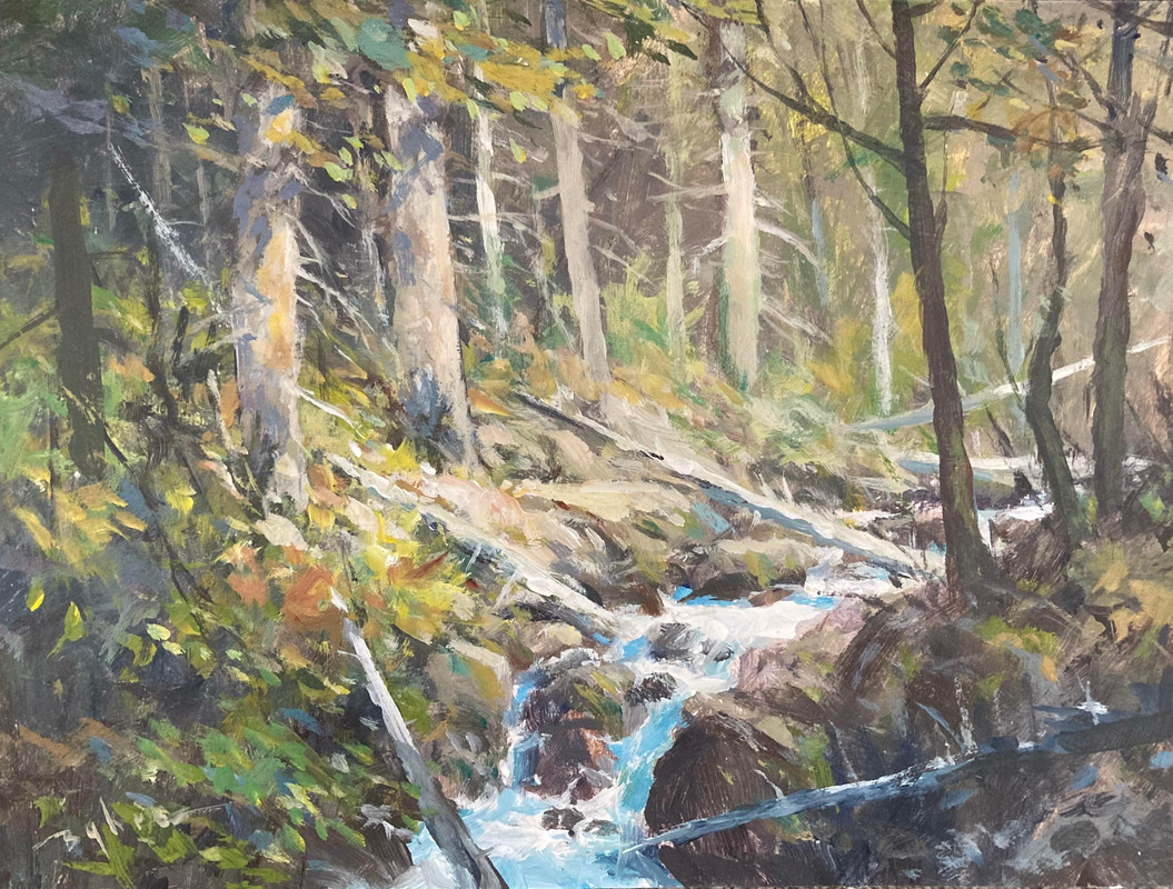 Forest Stream, Sunshine Coast
