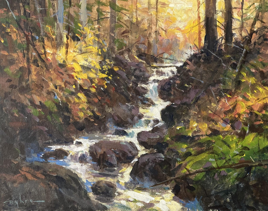 Autumn Forest