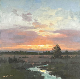 A Sunset Near Ladner