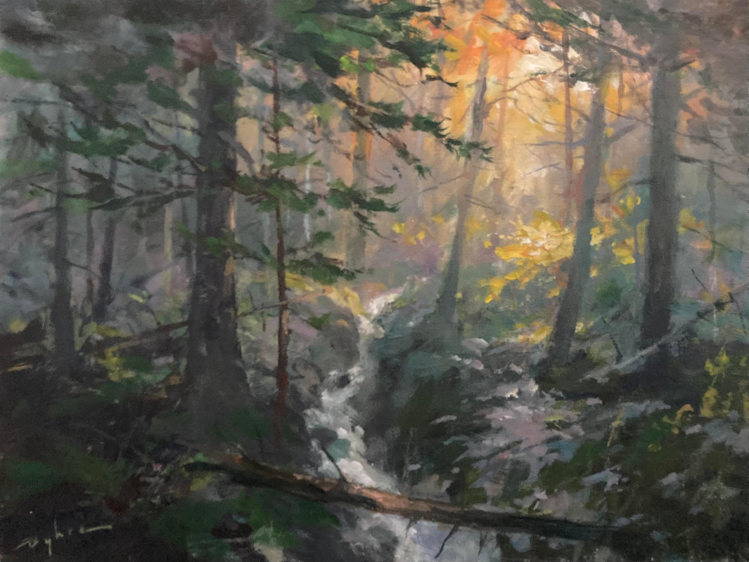 Daybreak in the Forest