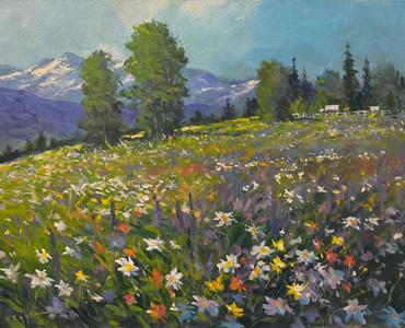 Spring Wildflowers on a Hillside Meadow