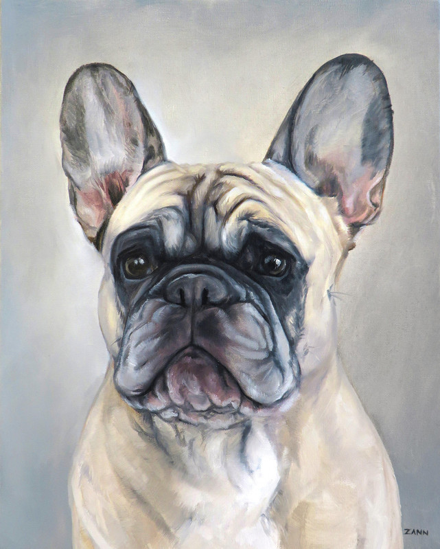 French Bulldog Portrait