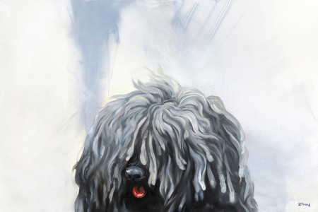 Another Shaggy Dog Story