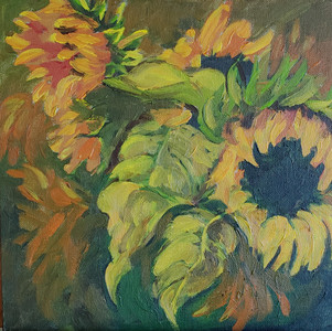 Sunflower decline