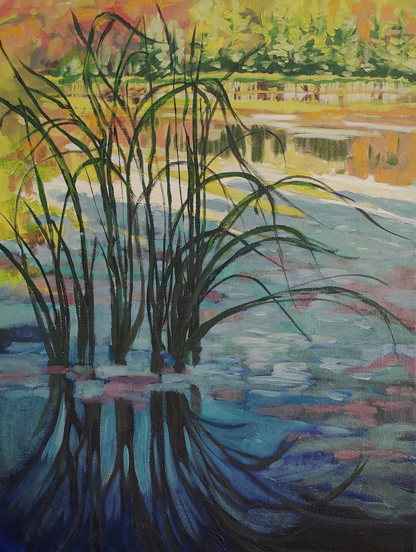 Spring Pond