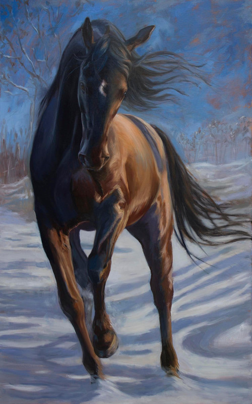Winter Run