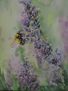 Lavendar Bumble Bee