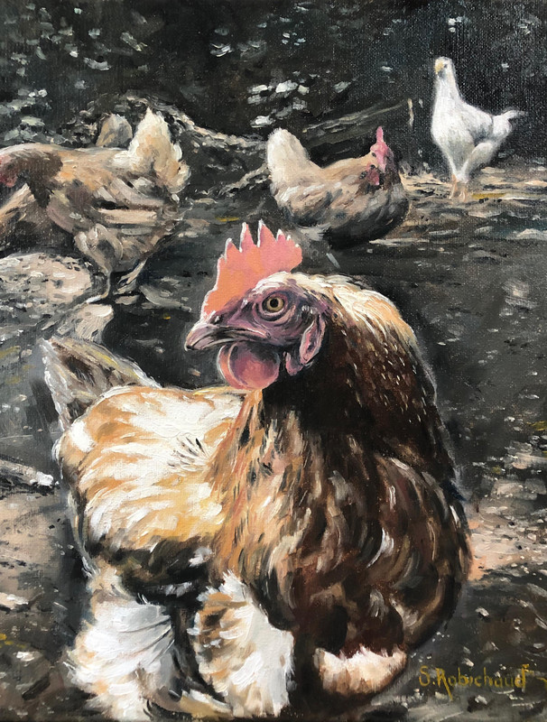 Roosters on the Move!