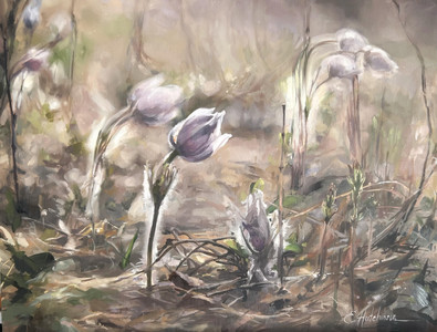 Where the Light Touches