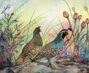 A Quail Romance