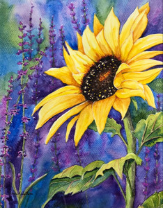 Sunflower in Lavender