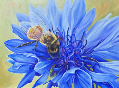 The Bachelor and the Bee