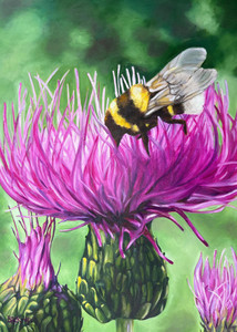 The Thistle&rsquo;s Treasure Trove