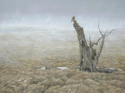 Grassland Harmonies