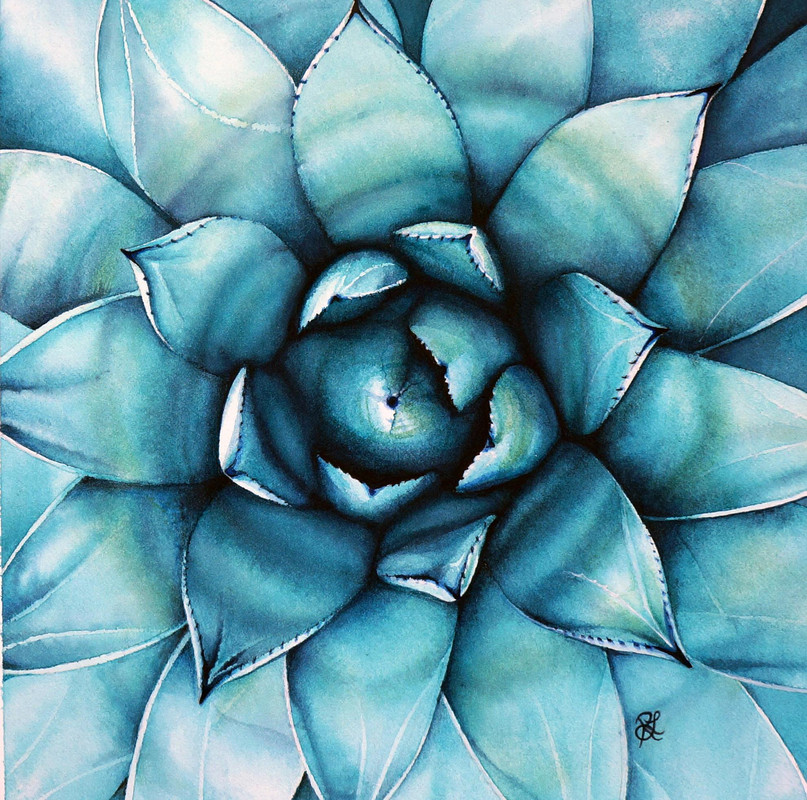 Deliciously Turquoise