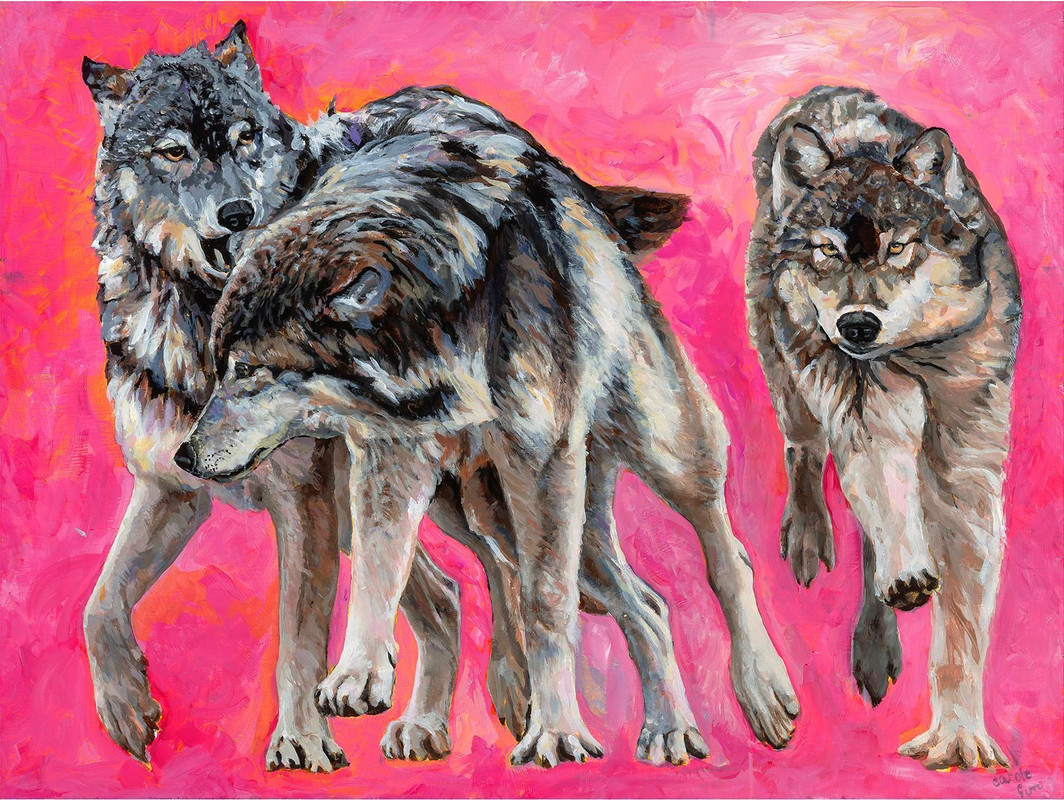 Wolves Running