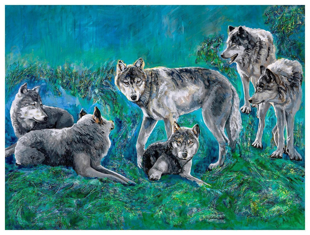 Wolf Pack of the  Great Bear