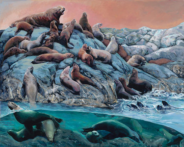 Stellar Sea Lions The Endless Sight