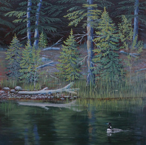 View From A Canoe