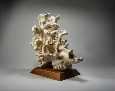 Deer Skull Coral