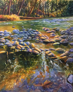 Sunlit Rocks on Alouette River