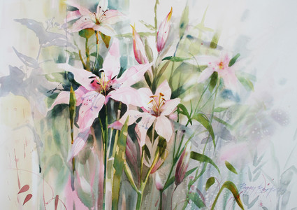 Stargazers