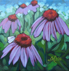 Coneflowers