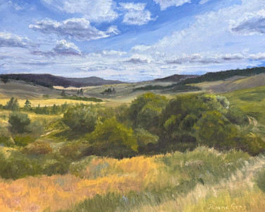 The Chilcotin