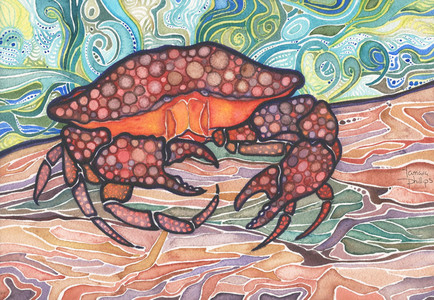 Starry Crab