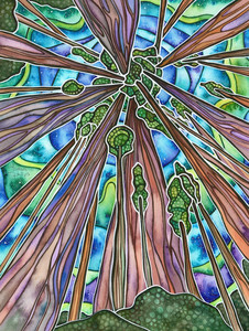 Aurora Trees