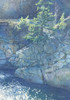 View #1