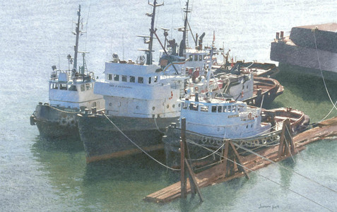 Tugs Near the Pattullo