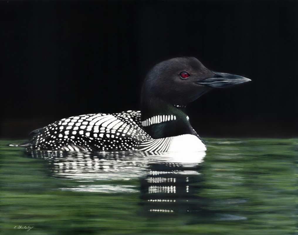 Northern Reflection