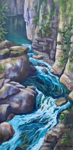 In the Shadow of the Canyon