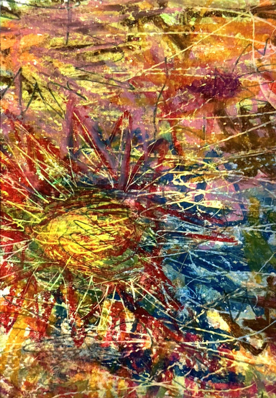 Lily Pond