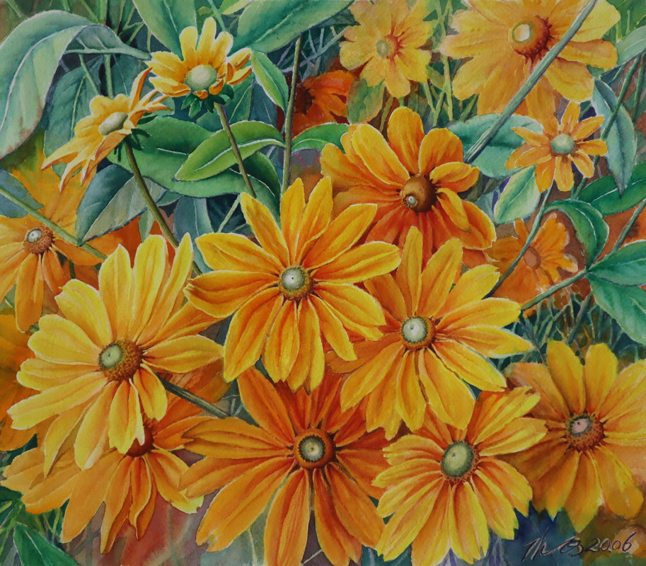Yellow Daisy