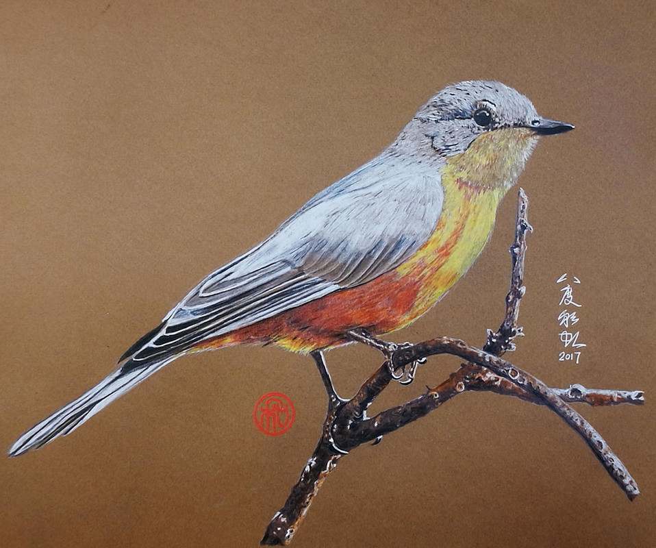 bird