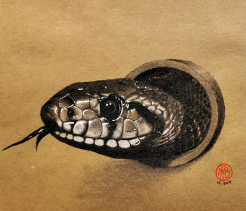 snake through a hole