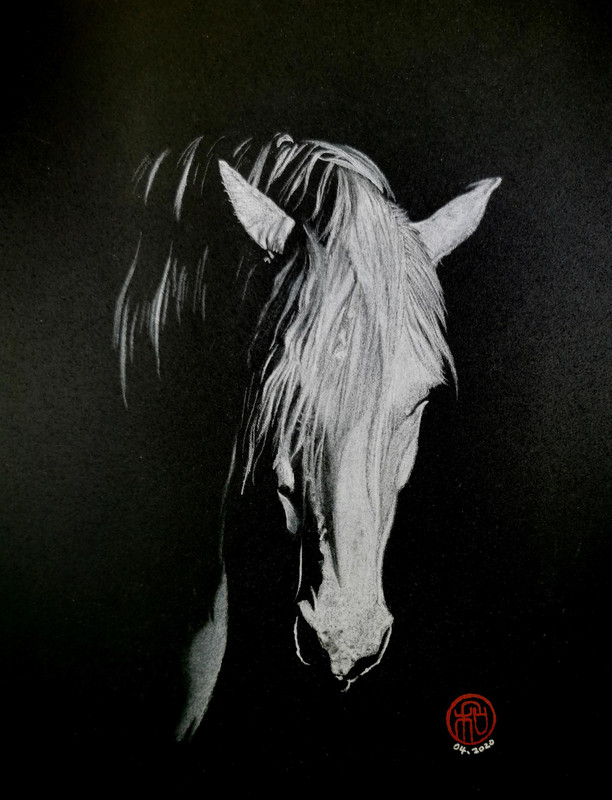 horse