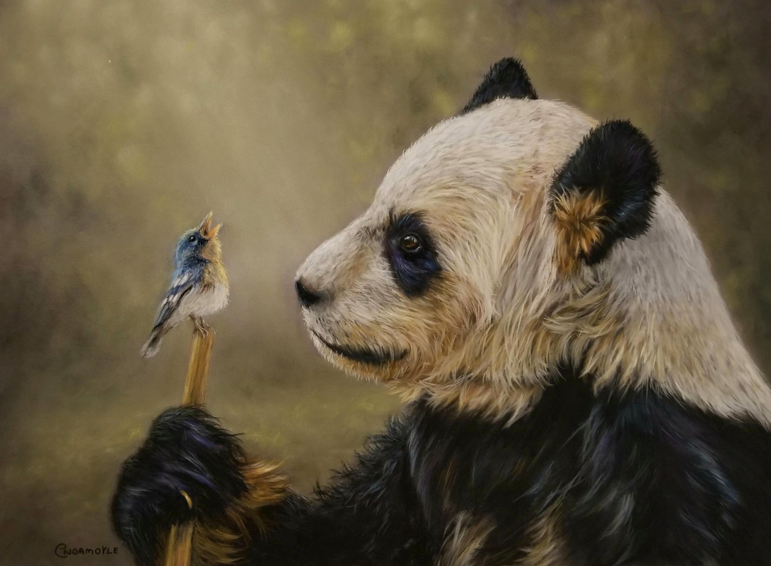 The Serenade