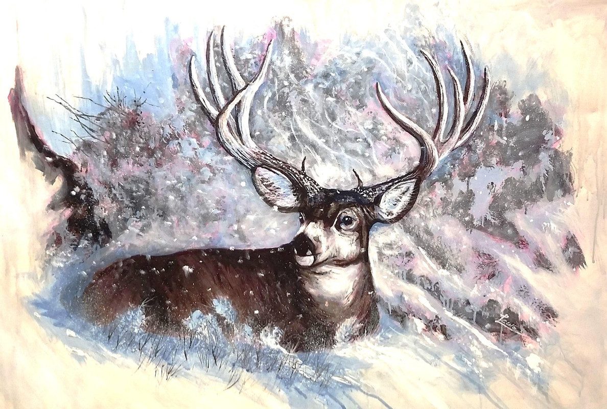 at home in the snow