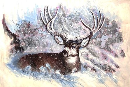 at home in the snow