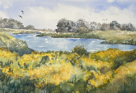 Fingal Wildlife Wetlands