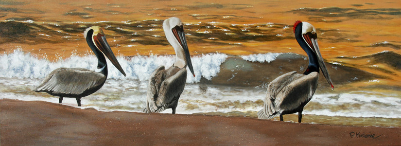 Three Pelicans