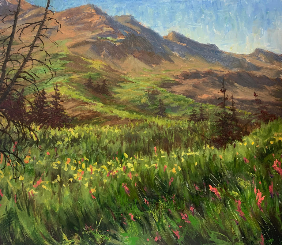 Cathedral Wildflowers
